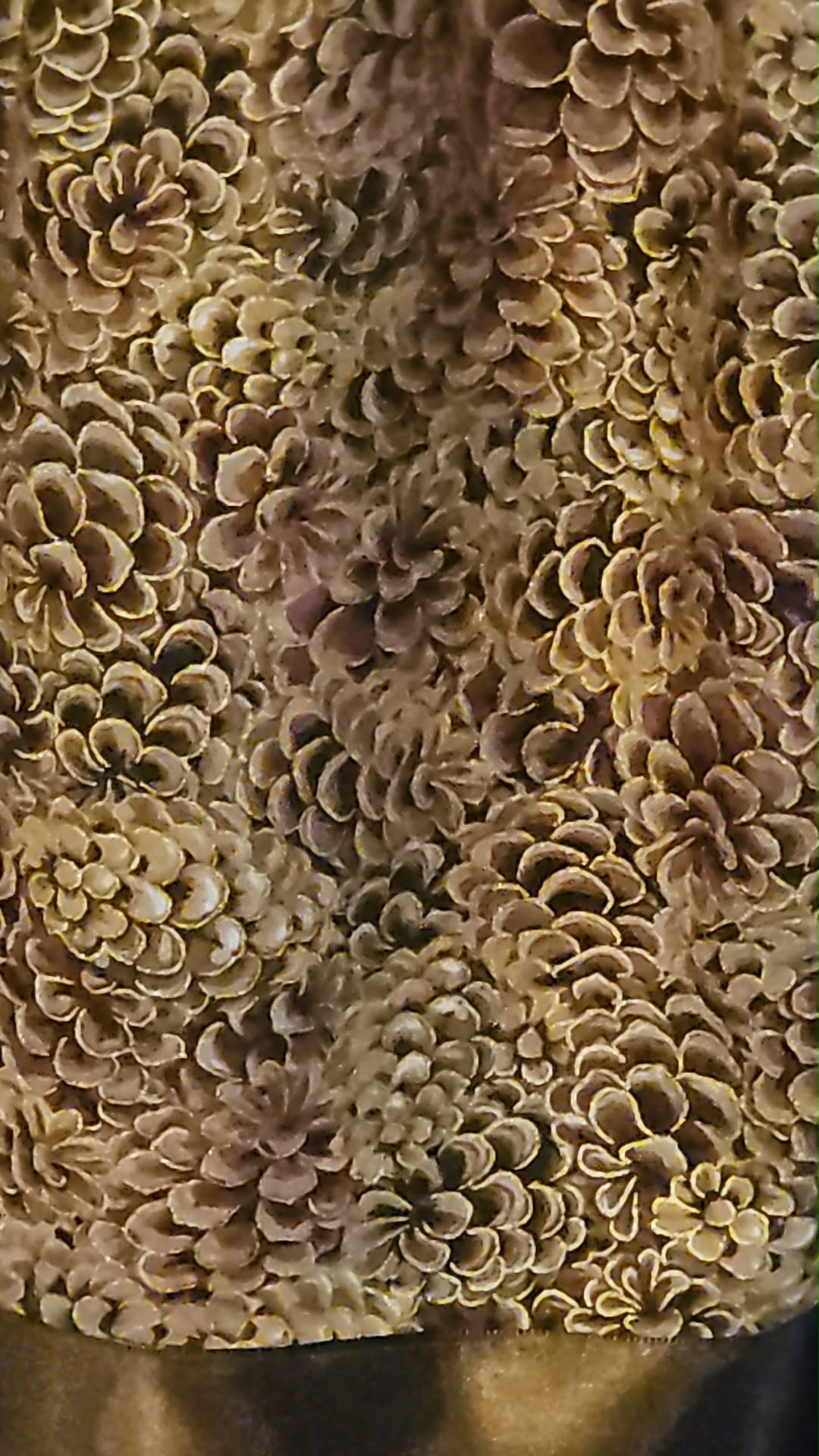 7 Generations, Pinecone Ribbon skirt